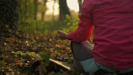 peaceful meditation in an autumn forest