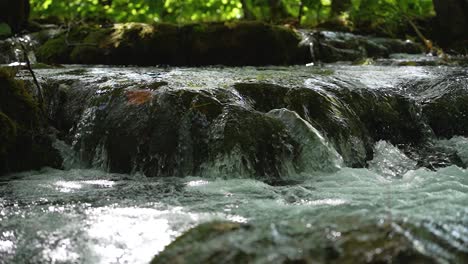 Nahaufnahme-Eines-Waldflusses,-Der-über-Felsen-Kaskadiert