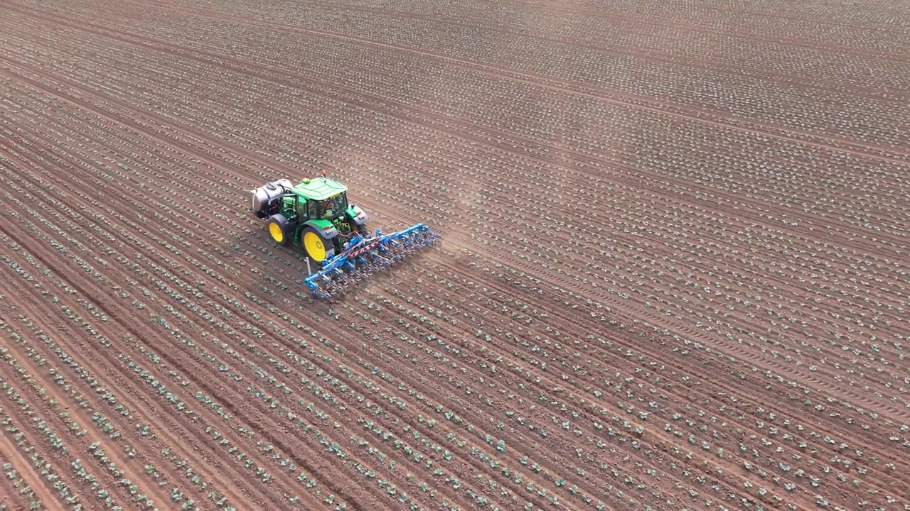 Vista aerea di un trattore che ara un campo al tramonto. Il mezzo è al lavoro su un terreno agricolo, lasciando scie di polvere e disegni nel suolo arato, per la preparazione del terreno e la coltivazione delle colture in una fattoria nel Regno Unito.