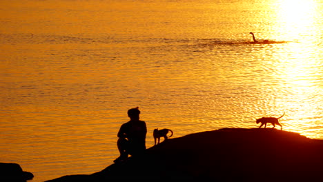 silhouette of mountain biker at sunset. male mountain biker resting on bike ride with cats
