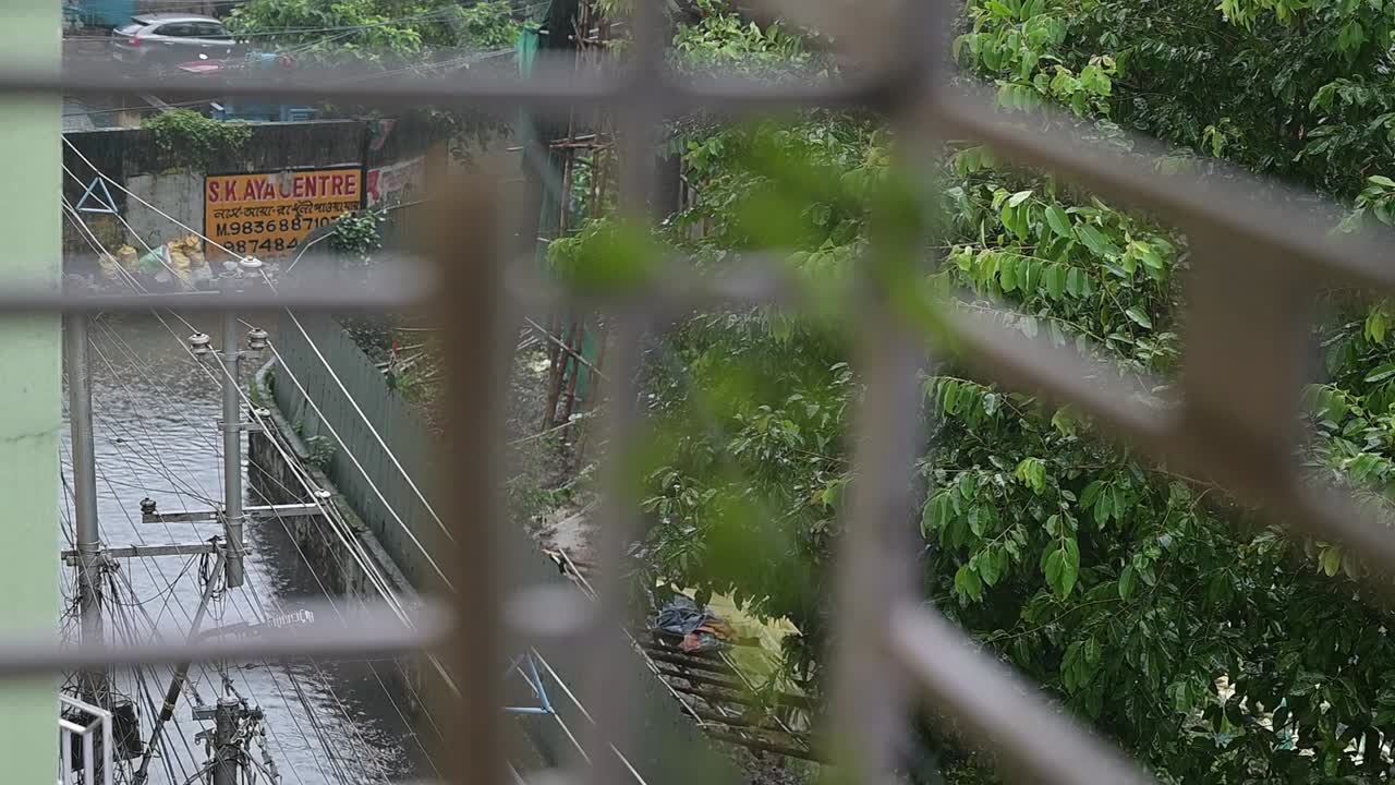 Motion video of rain flooded background with blurred foreground.