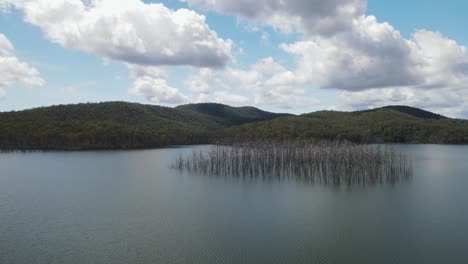 Tall-dead-trees-rising-up-from-a-flooded-valley-surrounded-by-scenic-mountain-range