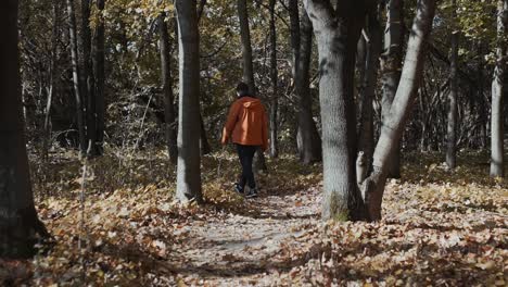 un hombre con una chaqueta naranja siguiendo el camino hacia el bosque de otoño con algunos árboles en el medio