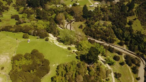 hills and forest drone footage with roads going up hill