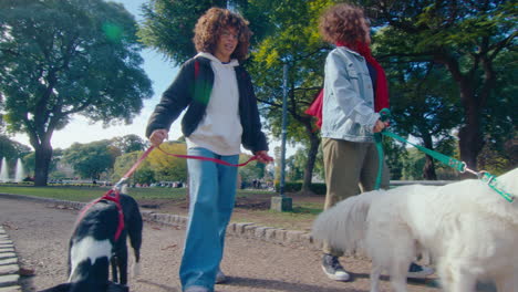 women walking with dogs in the park and having talk