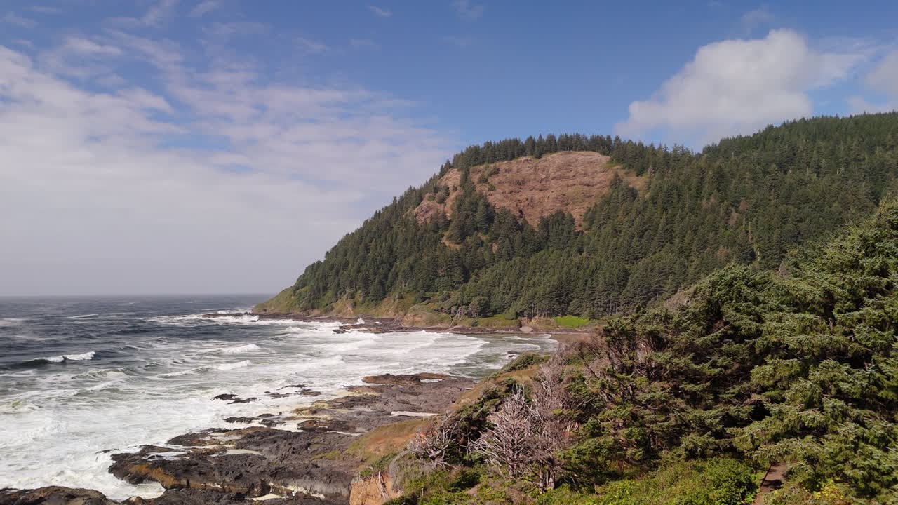 Oregon Coast Landscape with Waves and Forest