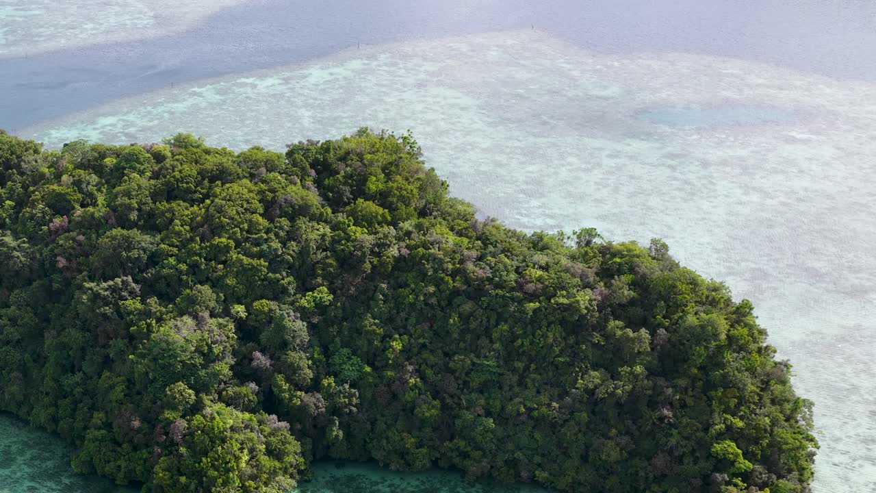 Høyt dronebilde som panorerer over en grønn kalksteinøy omgitt av turkise korallrev.