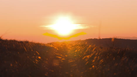 Amanecer-Ventoso-A-Través-De-La-Hierba-En-Las-Montañas