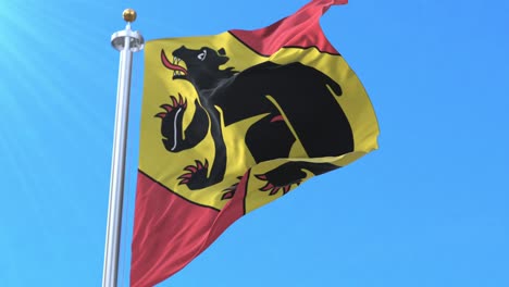 canton of bern flag, switzerland. loop