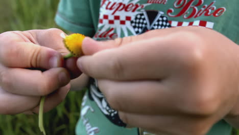 niño con una margarita