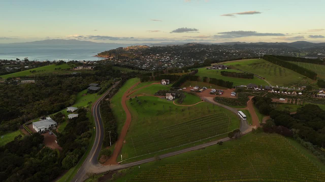 Bus on street between hilly vineyards in New Zealand. City and beach in The Valley of Waiheke island. Aerial rising wide shot.