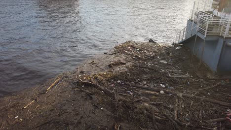 diferentes tipos de basura en un río de la ciudad