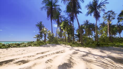 tropical paradise with white sand and palm trees