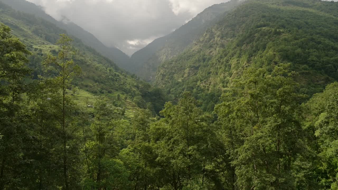 Himalayas Foothills Scenery in Nepal, Steep Green Mountain Valley of Trees Landscape