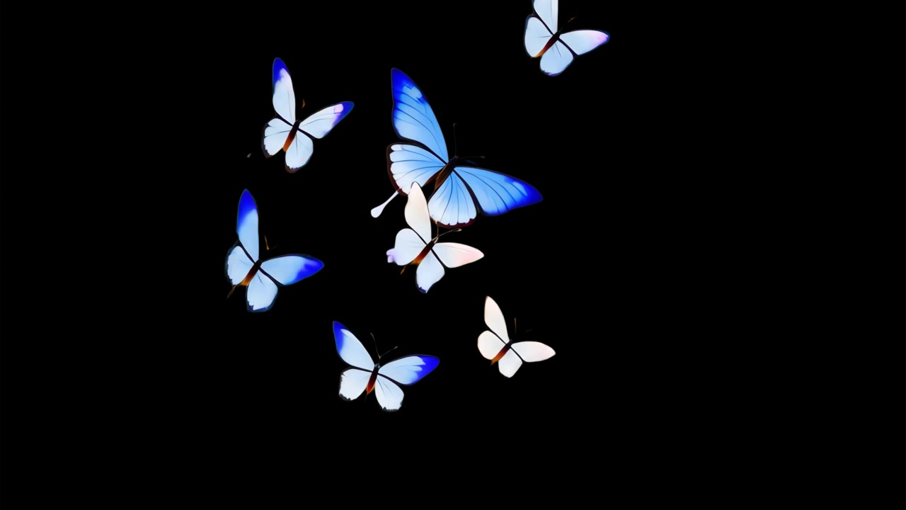 Animated Blue and White Butterflies Flying on Black Background