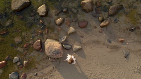 Kaukasische-Frau,-Die-Am-Felsigen-Strand-An-Der-Ostsee,-Orlowo,-Polen,-Spaziert