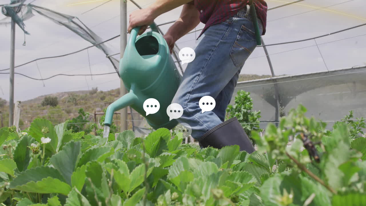 regar las plantas en el invernadero, animar burbujas de charla sobre el follaje verde exuberante