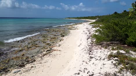 Drone-footage-flying-backwards-and-descending-over-the-surface-of-a-turquoise,-tropical-ocean-and-coral-reef-in-the-Caribbean-along-a-beach-fringed-with-native-palm-trees