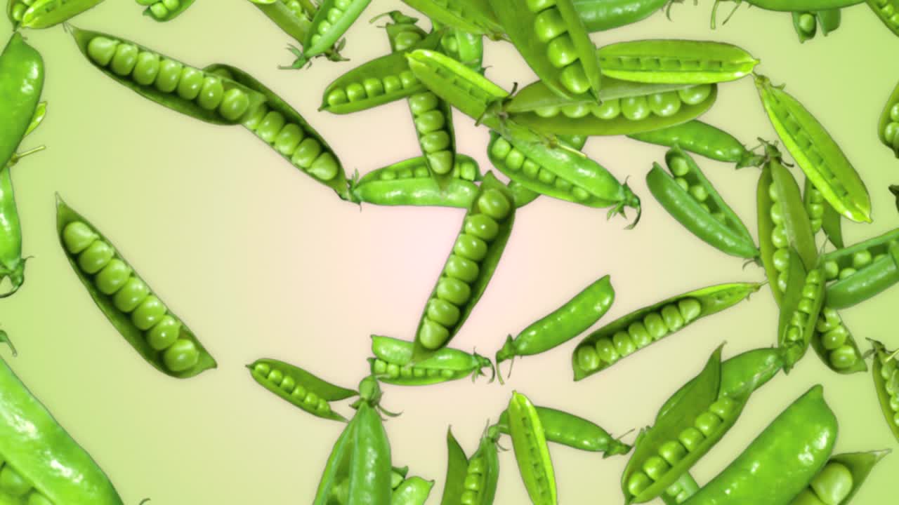 낙하하는 완두콩 배경, 알파 채널, 루프