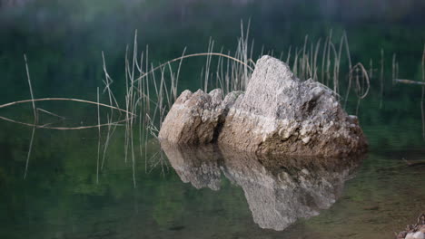 Roca-De-Piedra-Y-Hierba-Delicada-En-Aguas-Claras-Y-Poco-Profundas-Del-Lago,-Cierre-Estático