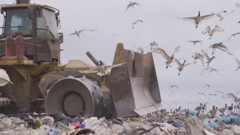 Fahrzeuge,-Die-Den-Auf-Einer-Mülldeponie-Angehäuften-Müll-Beseitigen