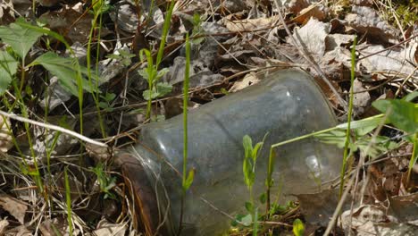 the glass container with the rusty cap in estonia