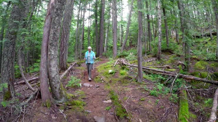 Mature woman walking through the forest 4k