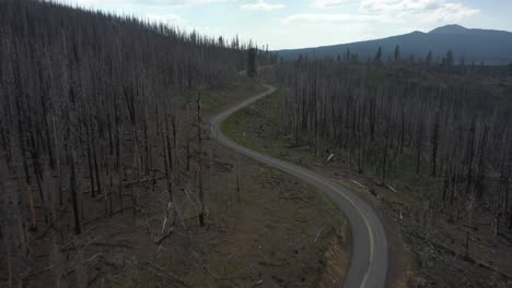 aerial view of empty highway in burnt forest,