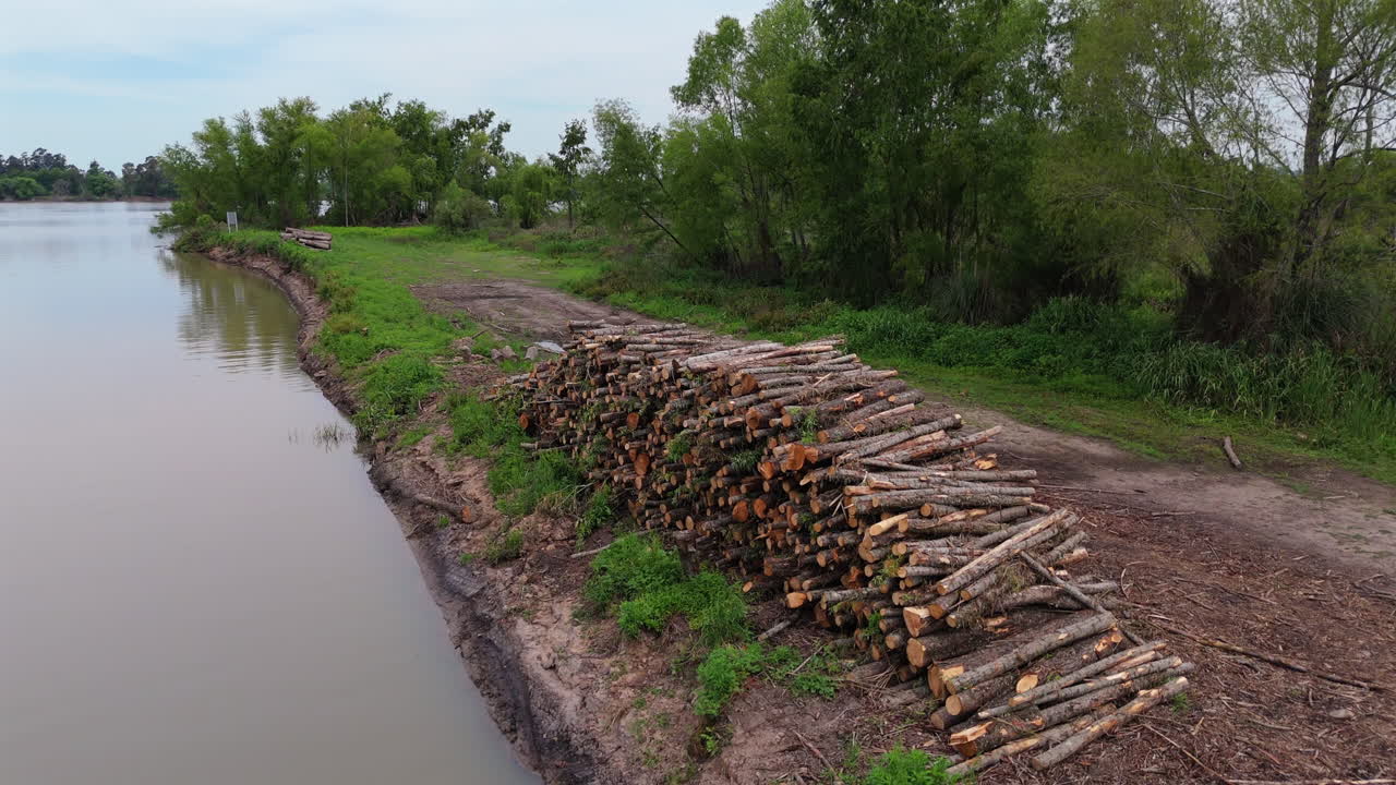 Aerial drone view of environmental impact along riverbank with stacked cut logs
