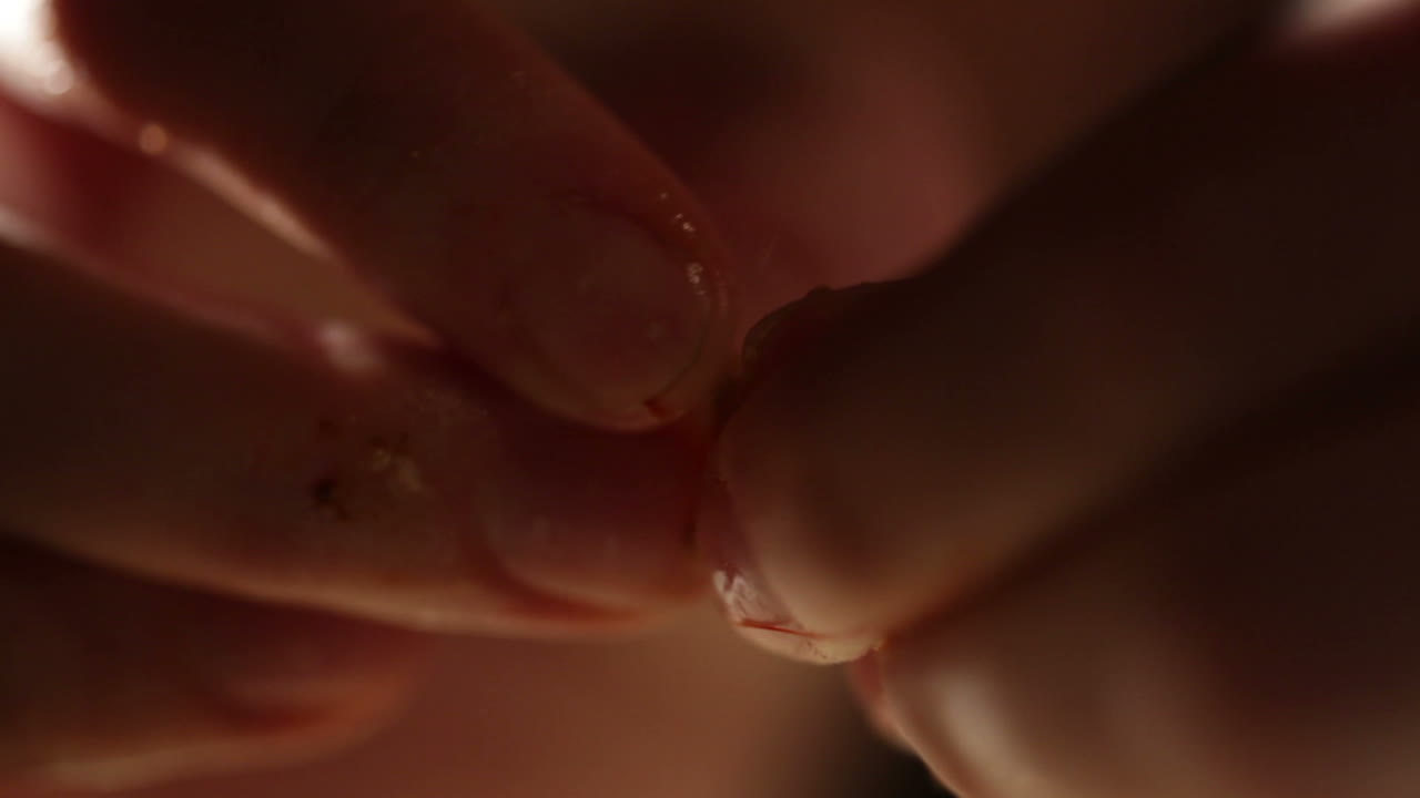 las manos de las mujeres están limpiando camarones.