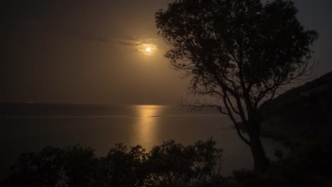 árbol de la luna 4k 03