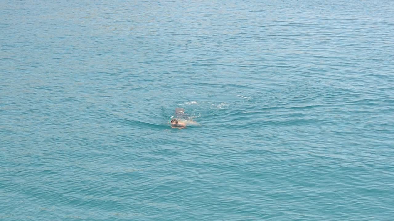スイマー、海、夏