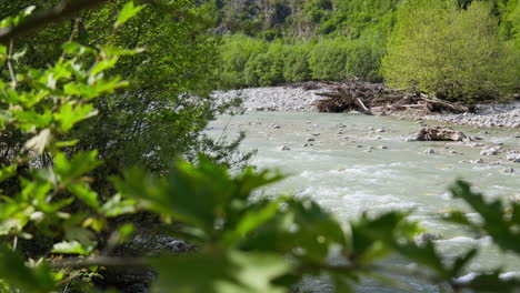 Gebirgsfluss,-Starker-Strom,-Kühles-Süßwasser,-Platane,-Blätter,-Vordergrund,-Sonniger-Tag,-Kamerafahrt