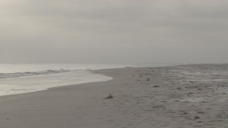 scandinavian beach on a foggy day in slow motion and 4k