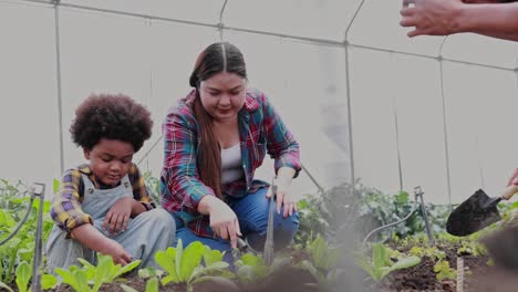 family planting vegetables