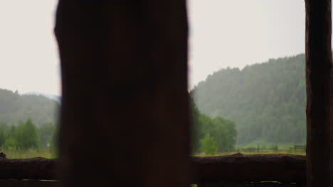 graceful woman catches drops of summer rain sitting on log