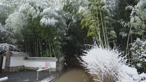 arashiyama bamboo grove entrance, snow falling in slow motion