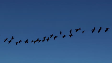 alpine valley and mountain peaks, bird flock in the sky
