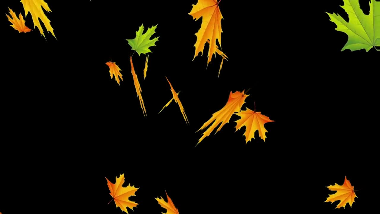 떨어지는 잎 녹색 화면 모션 그래픽