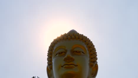 gian glow buddha sun behind at wat paknam bhasicharoen bangkok thailand tilt shot