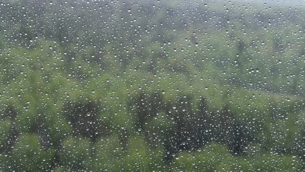 Summer forest through glass with water drops after rain, background
