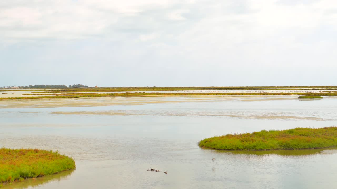 vasto paisaje de humedales en el parque natural del delta del ebro en cataluña tarragona, españa