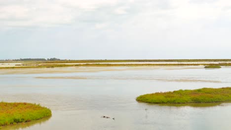 Vasto-Paisaje-De-Humedales-En-El-Parque-Natural-Del-Delta-Del-Ebro-En-Cataluña-Tarragona,-España