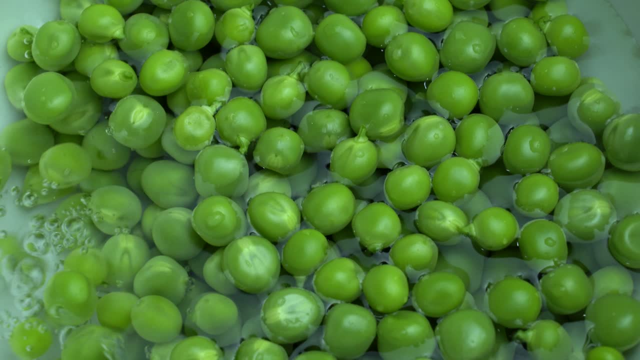 Closeup of fresh Green Peas in water, Pisum sativum