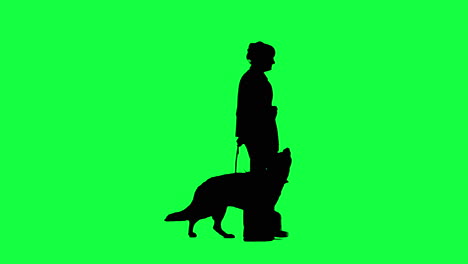 black silhouette of a woman walking her dog in front of a greenscreen
