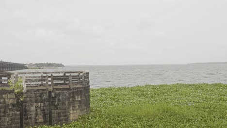 tanneermukkam bund, the african rivermoss , embankment and moss , the mosses stir in the wind, salvinia molesta