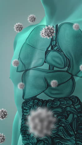 animación de células de virus que caen sobre el modelo del cuerpo humano