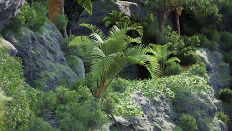 selva tropical con vegetación exuberante