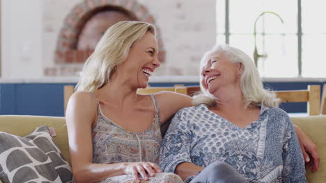 portrait of smiling mother with adult daughter relaxing on sofa at home