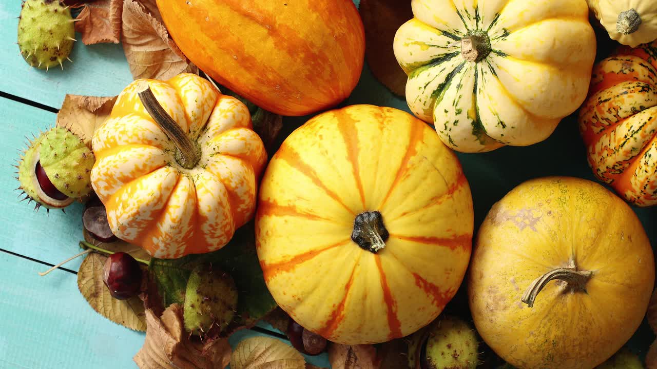 잎과 밤으로 장식된 호박 더미